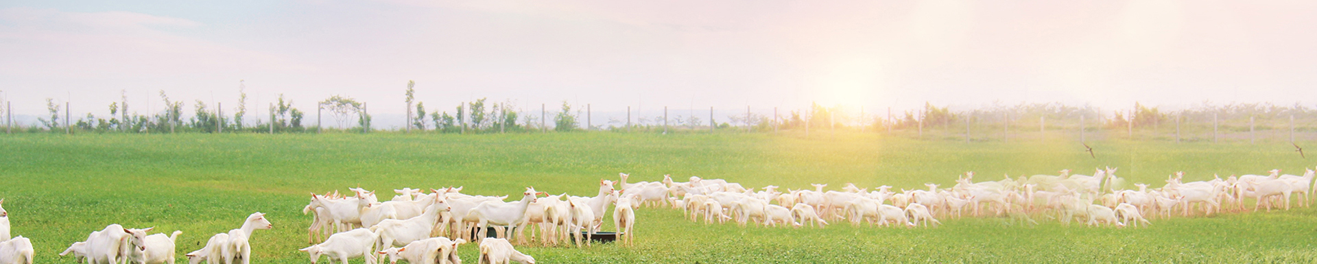 首页-SBOBET利记集团官方网站