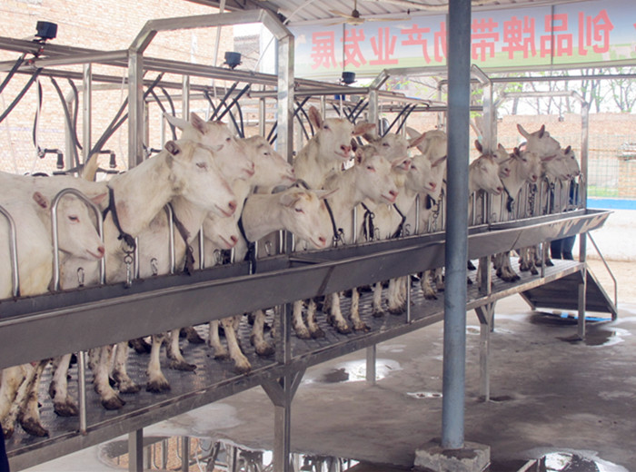 首页-SBOBET利记集团官方网站