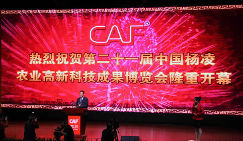 首页-SBOBET利记集团官方网站