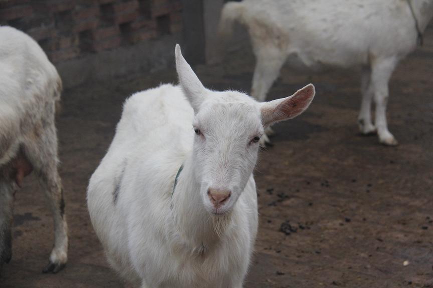 首页-SBOBET利记集团官方网站