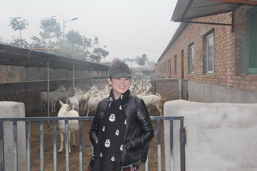 首页-SBOBET利记集团官方网站