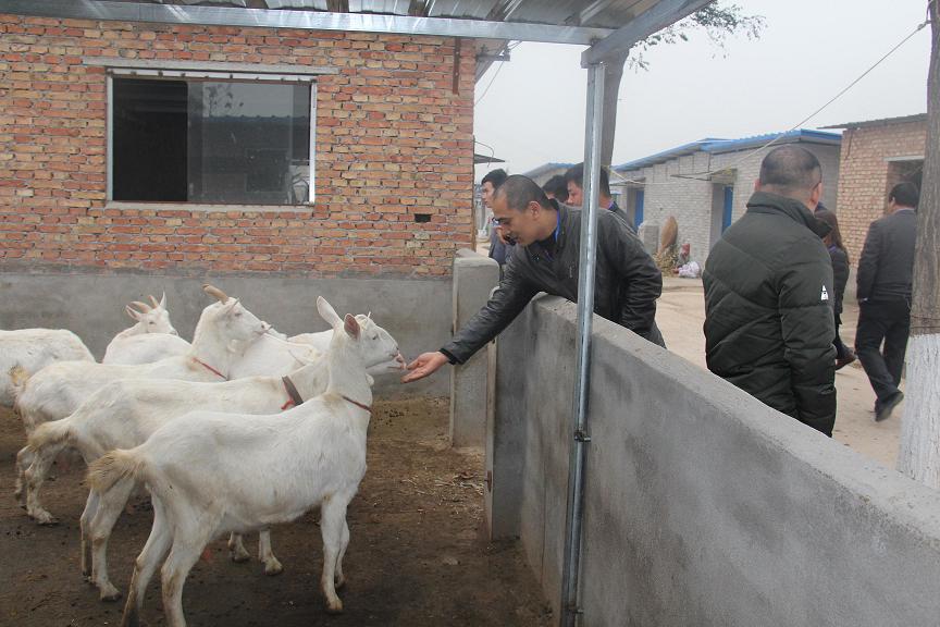 首页-SBOBET利记集团官方网站