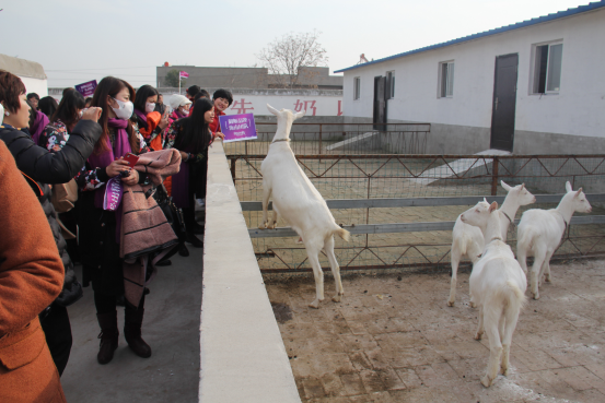 首页-SBOBET利记集团官方网站