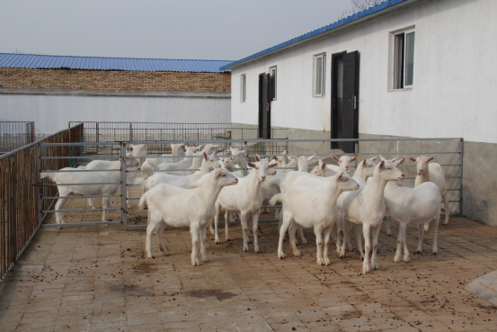 首页-SBOBET利记集团官方网站