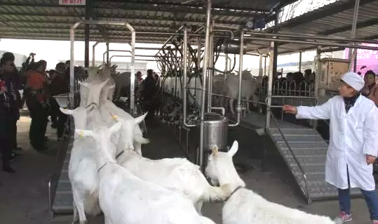 首页-SBOBET利记集团官方网站