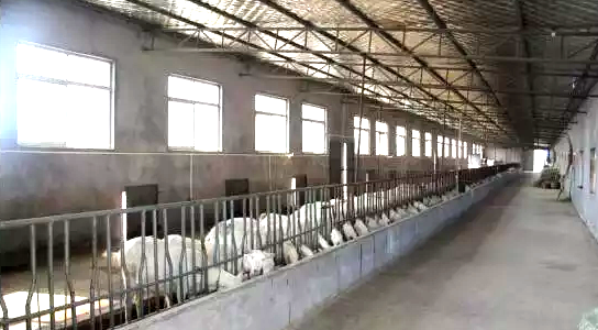 首页-SBOBET利记集团官方网站