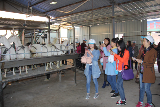 首页-SBOBET利记集团官方网站