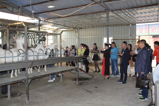 首页-SBOBET利记集团官方网站