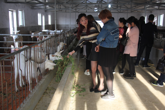 首页-SBOBET利记集团官方网站