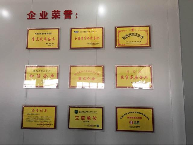 首页-SBOBET利记集团官方网站