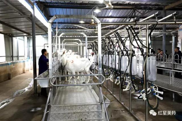 首页-SBOBET利记集团官方网站