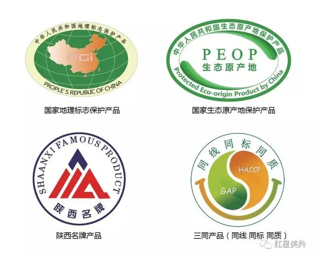 首页-SBOBET利记集团官方网站