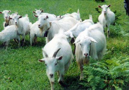 首页-SBOBET利记集团官方网站