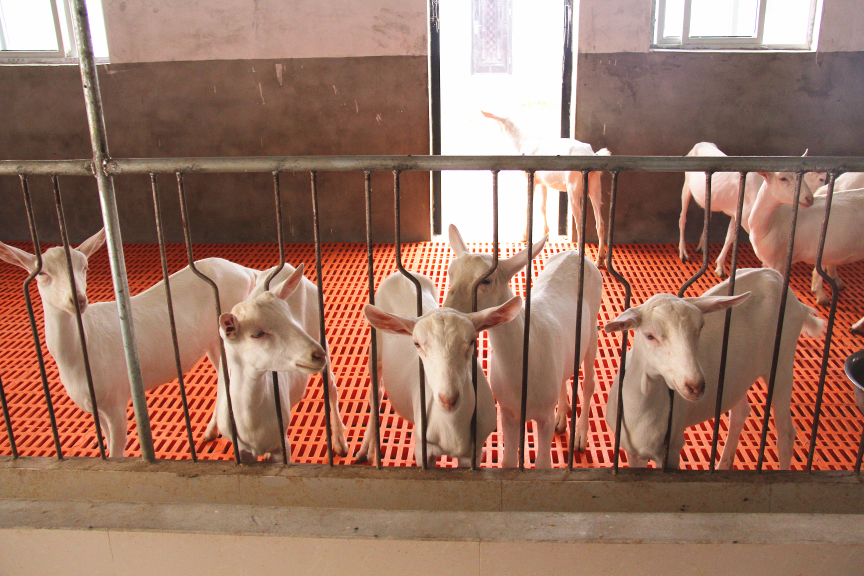 首页-SBOBET利记集团官方网站