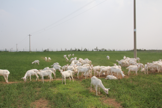 首页-SBOBET利记集团官方网站