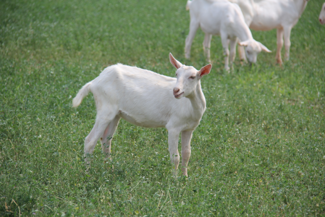 首页-SBOBET利记集团官方网站