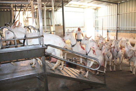 首页-SBOBET利记集团官方网站