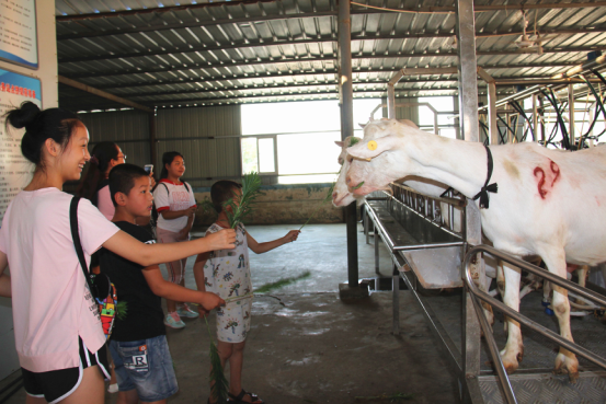 首页-SBOBET利记集团官方网站