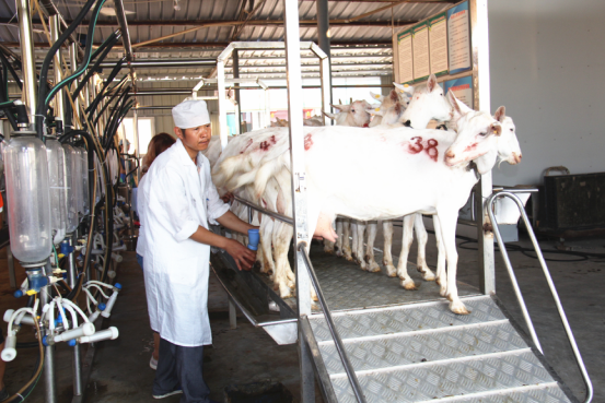 首页-SBOBET利记集团官方网站
