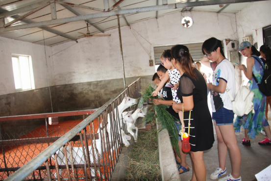 首页-SBOBET利记集团官方网站