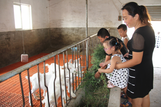 首页-SBOBET利记集团官方网站