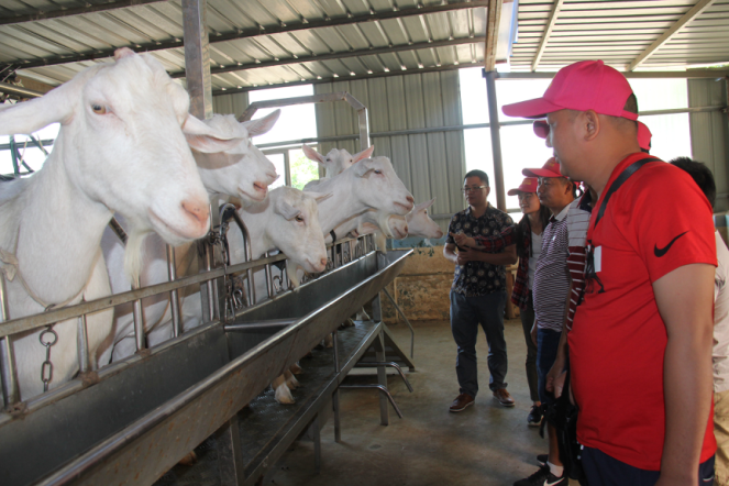 首页-SBOBET利记集团官方网站