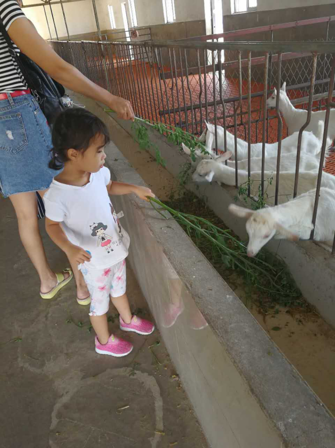 首页-SBOBET利记集团官方网站