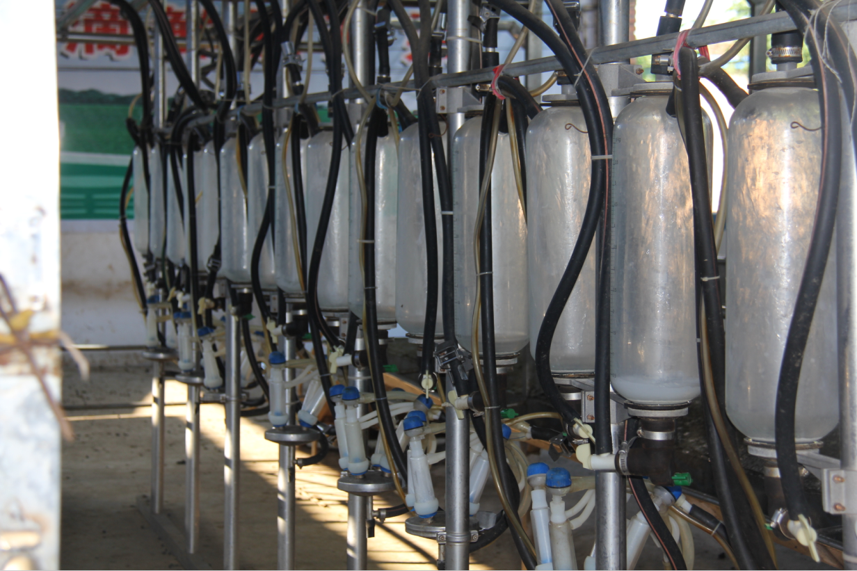 首页-SBOBET利记集团官方网站