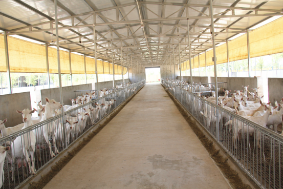 首页-SBOBET利记集团官方网站