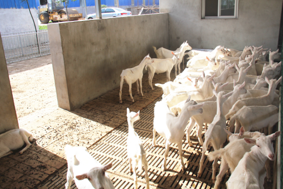 首页-SBOBET利记集团官方网站