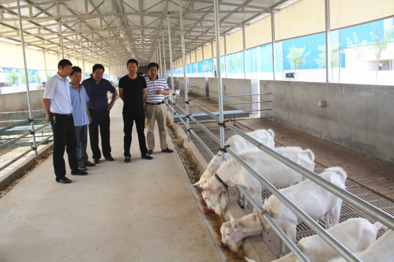 首页-SBOBET利记集团官方网站