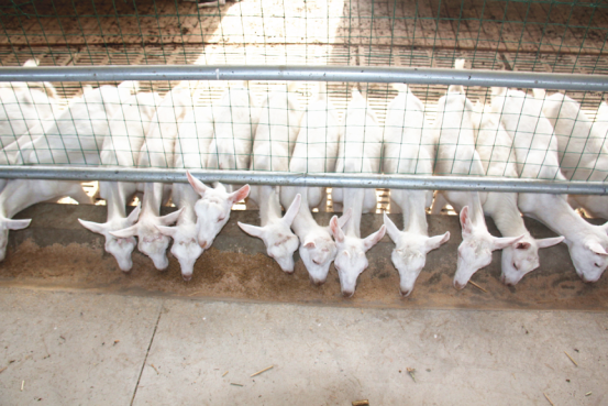 首页-SBOBET利记集团官方网站