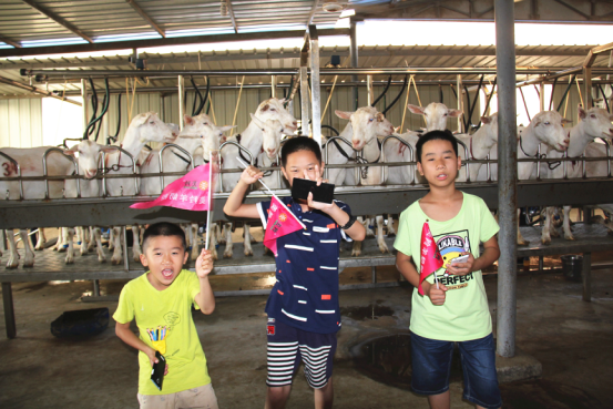 首页-SBOBET利记集团官方网站