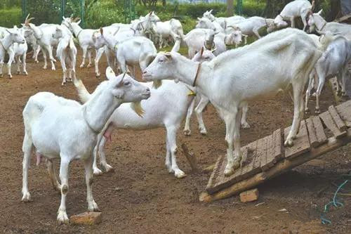 首页-SBOBET利记集团官方网站