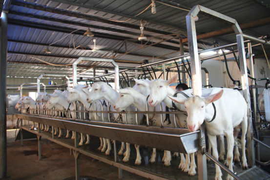 首页-SBOBET利记集团官方网站