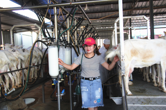 首页-SBOBET利记集团官方网站