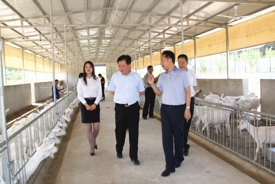 首页-SBOBET利记集团官方网站