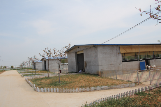 首页-SBOBET利记集团官方网站