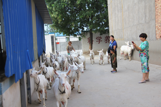 首页-SBOBET利记集团官方网站