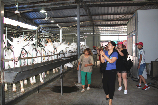 首页-SBOBET利记集团官方网站