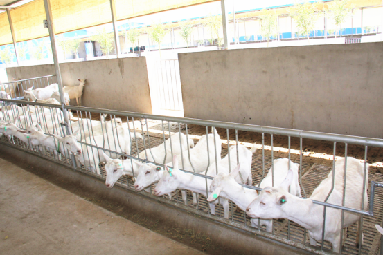 首页-SBOBET利记集团官方网站