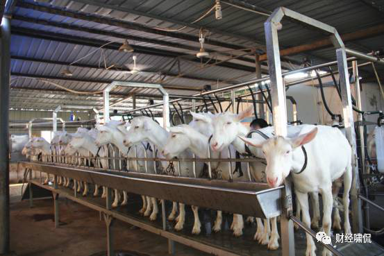 首页-SBOBET利记集团官方网站