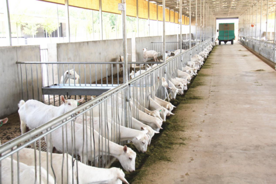 首页-SBOBET利记集团官方网站