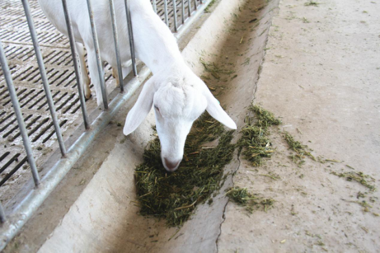 首页-SBOBET利记集团官方网站