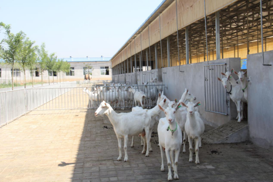 首页-SBOBET利记集团官方网站