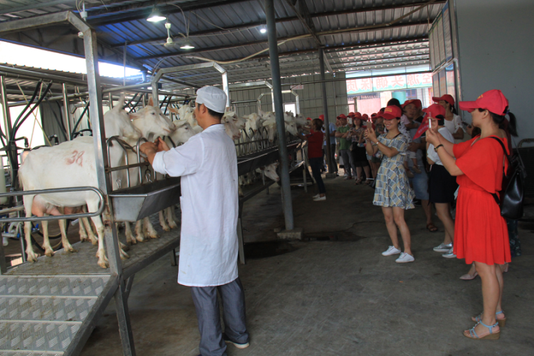 首页-SBOBET利记集团官方网站