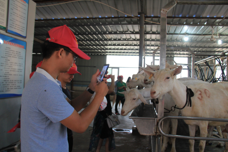 首页-SBOBET利记集团官方网站