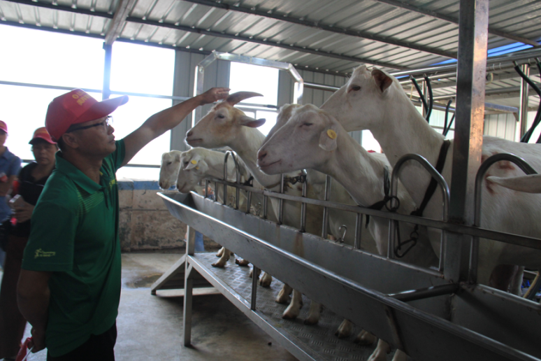 首页-SBOBET利记集团官方网站