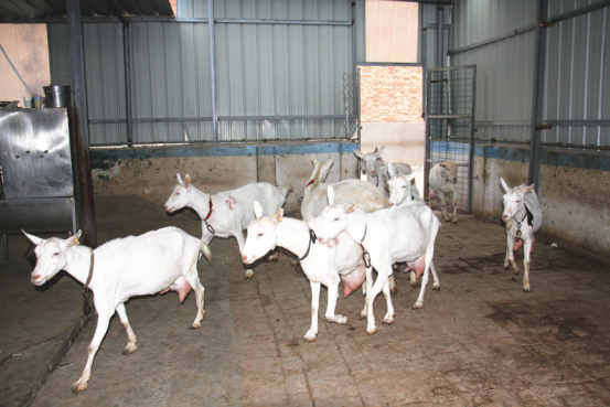 首页-SBOBET利记集团官方网站