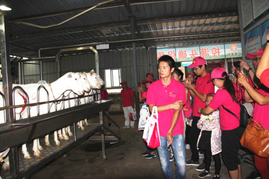 首页-SBOBET利记集团官方网站